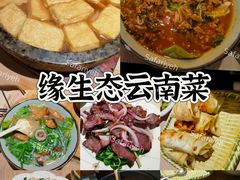 -缘生态云南菜·野生菌庭院餐厅(华侨城店)