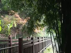 -常德桃花源景区