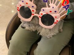 -ZOZO's昌左左精致甜品设计(新北店)