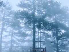 -秦岭天竺山景区