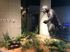 -北京周口店北京人遗址博物馆