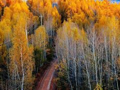 -北极村旅游风景区