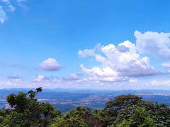 -黄埔油麻山森林公园