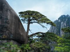 -黄山风景区