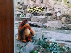 -杭州动物园
