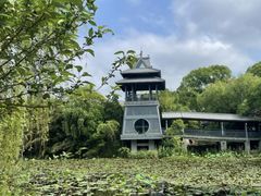 -金鸡湖桃花岛