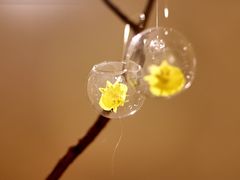 -台州一鼎豪生大酒店