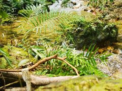 -飞霞风景名胜区