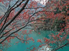 -叠溪松坪沟景区