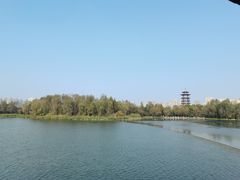 -洋湖国家湿地公园