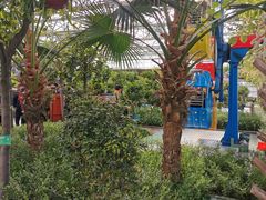 -南宫五洲植物乐园