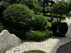 -中华郡温泉