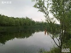 -新江湾城公园