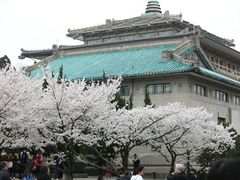 -武汉大学-樱园
