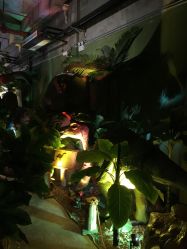 -恐龙探索乐园(磁器口店)