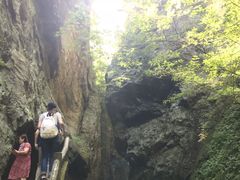 -牛背梁国家森林公园