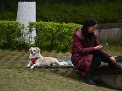 -重庆彩云湖湿地公园