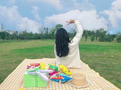 -白鹭湾湿地公园