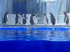 -石家庄市动物园