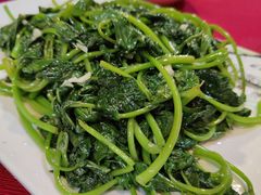 -裕华(南华东路店)