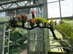 -国家植物园南园