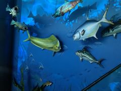 -陕西自然博物馆