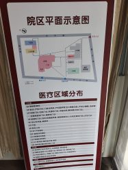 -中国福利会国际和平妇幼保健院(徐汇院区)