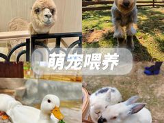 -栖露营camping·天幕烧烤·团建拓展·采摘营地
