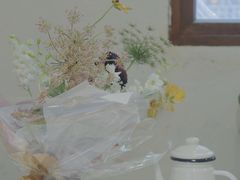 -卷耳咖啡
