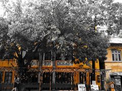 -广州市紫泥堂文化创意园景区
