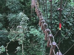 -西双版纳原始森林公园