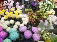 -双季花艺园艺市场(浦东店)