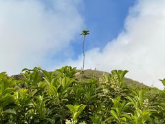 -七娘山