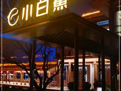 -小白鲨工夫潮膳(曲江店)