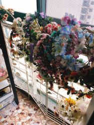 -瞳孔摄影(植物园路店)