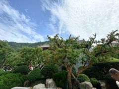 -华清宫景区