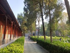 -洛阳白马寺