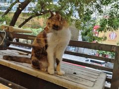 -汇兴源餐馆(小北路店)