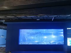 -重庆欢乐海底世界