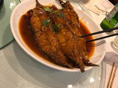 -双井轩(双井店)