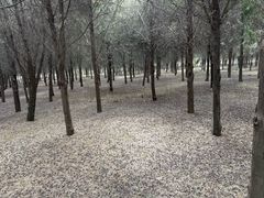 -汉景帝阳陵博物院