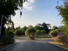 -中国科学院西双版纳热带植物园