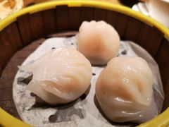南拳虾饺皇-南拳十三姨·潮汕砂锅粥(世纪金源店)