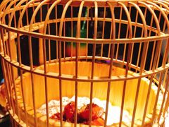 -胡桃里音乐酒馆(环亚凯瑟琳广场店)