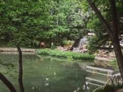 -环城公园-琥珀潭