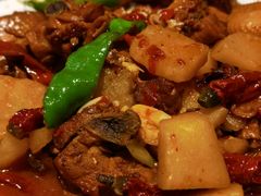 -巴依老爷新疆美食(清华东门店)