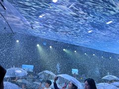 -M-MIX电音烤吧