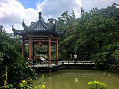 -广州神农草堂中医药博物馆