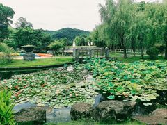 -宁波九龙湖开元度假村