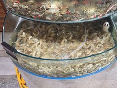 -蓝珊甄选海鲜自助·火锅大排档(近阿那亚店)